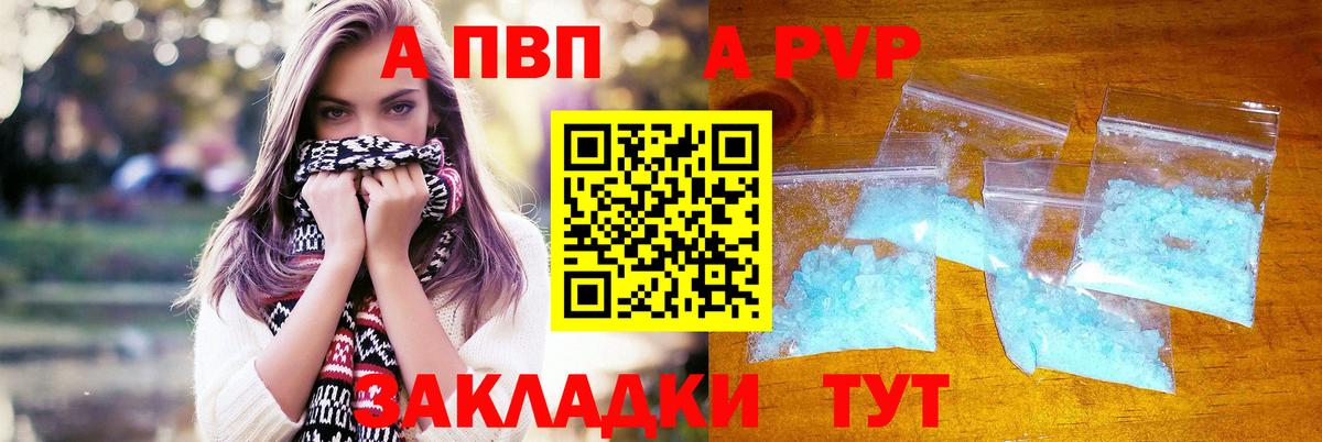 A PVP СК КРИС Гудермес