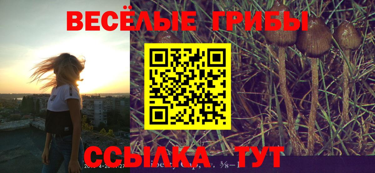 Галлюциногенные грибы прущие грибы Гудермес