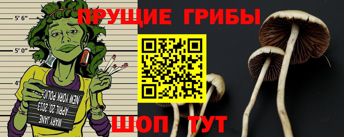 Марихуана  Гудермес  Вход с VPN  МДМА  Меф   ГАШ 