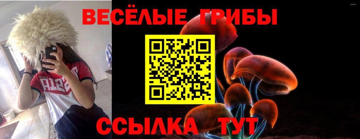 Гудермес  Галлюциногенные грибы GOLDEN TEACHER  Вход с VPN  купить  цена  Галлюциногенные грибы прущие грибы 